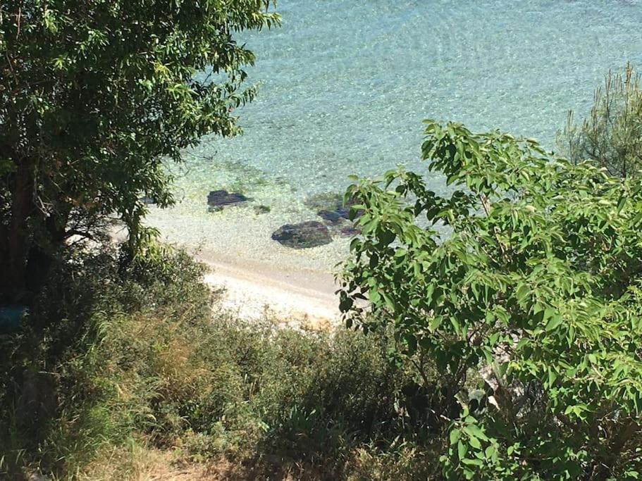 T3 Les Pieds Dans L'Eau Appartement Istres Buitenkant foto